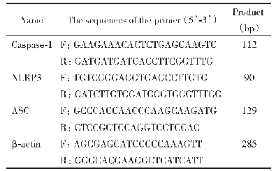 表1 RT-q PCR引物合成序列