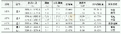 表1 试验井基础数据：致密砂岩气藏复杂缝网压裂工艺现场应用