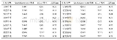 表1 SARS-CoV-2 S蛋白和ACE2的相互作用方式