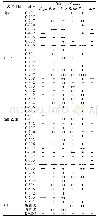 表3 菌株发酵液粗提物抑菌活性(n=3)