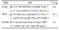 表2 引物序列：甲氧基黄酮促斑马鱼黑色素生成的药效学评价及机制研究