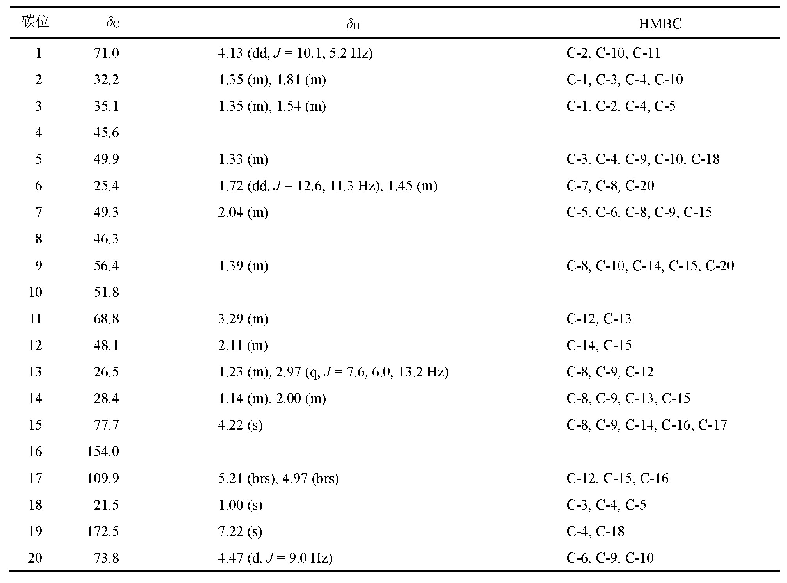 表1 化合物1的1H-NMR、13C-NMR和HMBC数据