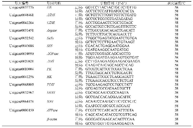 表1 q RT-PCR扩增特异引物