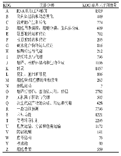 表7 差异表达基因的KOG功能注释