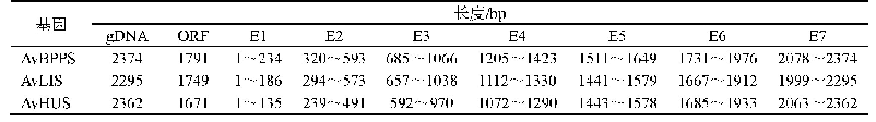 表3 g DNA外显子分布