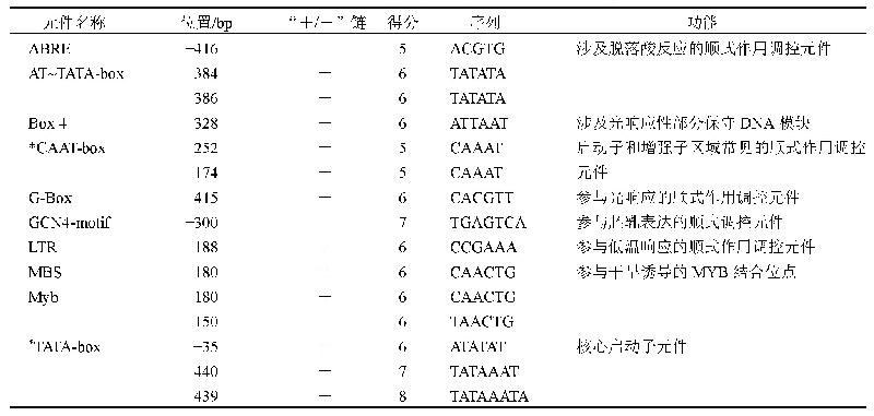 表4 Av BPPS启动子预测的顺式作用调控元件