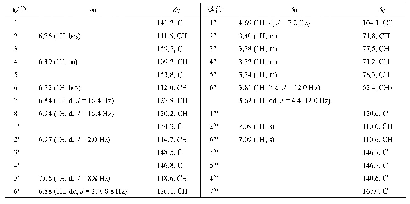 表1 化合物1的1H-HMR (400 MHz,CD3OD)和13C-NMR (100 MHz,CD3OD)数据