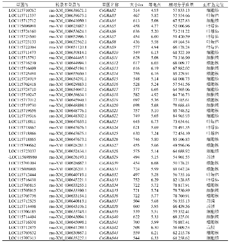 表1 大麻GRAS基因家族基本信息及特征