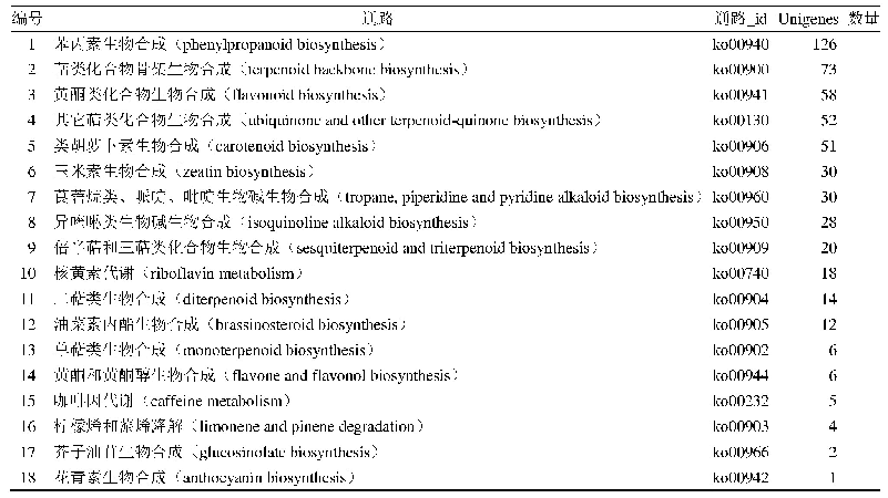 表3 八爪金龙转录组Unigenes次生代谢KEGG通路注释