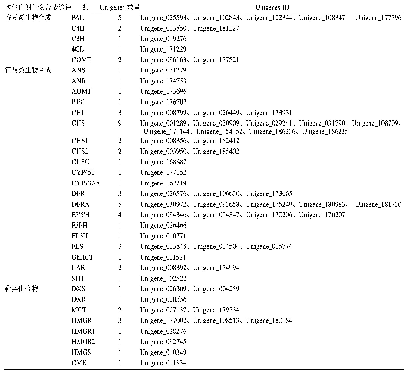 表4 编码香豆素、黄酮类和萜类生物合成相关酶的Unigenes数量