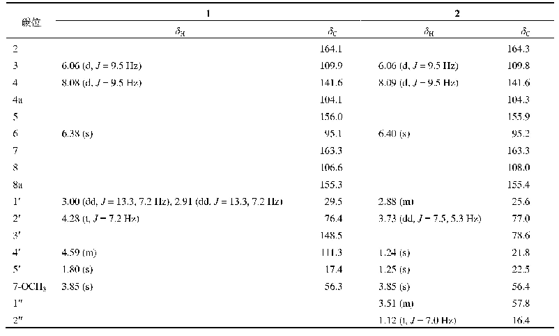 表1 化合物1和2的1H-NMR (600 MHz,CD3OD)和13C-NMR数据(150 MHz,CD3OD)