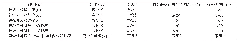 表4 PanNET分类和分级标准