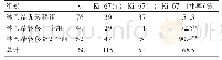 表1 Ki-67在各组中的表达阳性率比较