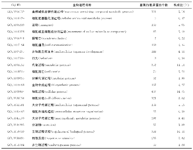 表2 差异蛋白的生物进程分析