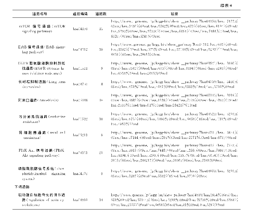 表4 肺结核相关差异蛋白上调与下调的KEGG分析