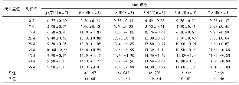 表1 各组大鼠各时间点的BBB评分比较(±s)