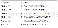 《表1 实时荧光定量引物：七氟醚对乳腺癌细胞NF-κB活性及MMP-2、MMP-9表达的影响》