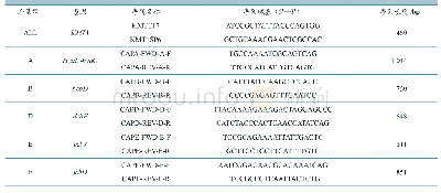 《表1 多杀性巴氏杆菌特异引物序列》