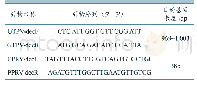 《表1 引物序列及扩增目的基因长度》