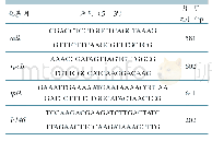 表1 管家基因及p146基因引物序列