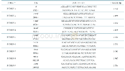 表1 DTMUV全基因组扩增引物