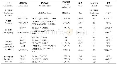 表1 不同类型模型命名举例