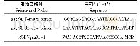 表1 微滴式d PCR检测SIV DNA载量所使用的引物和探针