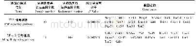 表7 PD-L1Flox/--Cre感染组与其未感染组相比差异表达基因KEGG最显著富集分析