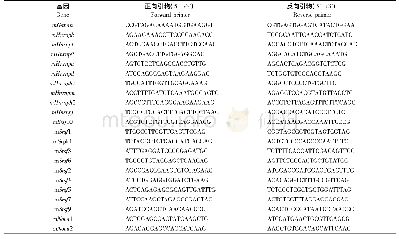 表1 引物序列：SMA小鼠中相关剪接因子表达与SMN2外显子7列入比率关系研究