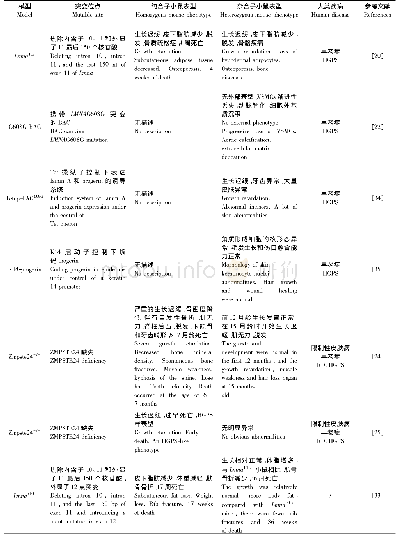 表3 LMNA基因早老突变小鼠模型