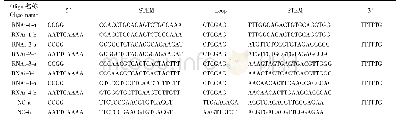 表1 PCR引物序列：Sirt3基因RNA干扰慢病毒载体及稳定表达的人神经母细胞瘤SH-SY5Y细胞株的构建