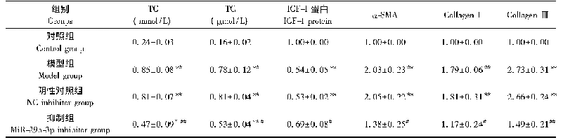 表3 抑制mi R-29b-3p对NAFLD细胞模型的影响结果(n=3)