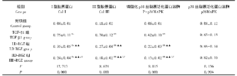 表2 四组细胞Col I、Col III、P-p38MAPK和p38MAPK蛋白的相对灰度值比较(n=6)