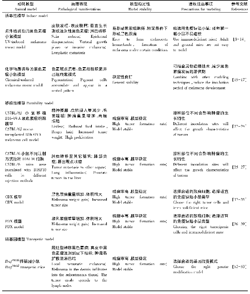 表2 黑色素瘤小鼠模型病理表现、模型稳定性及注意事项总结