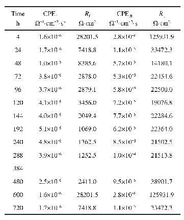 表3 镀锌钢在2#反渗透水中电化学阻抗谱拟合结果