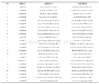 表1 西瓜23对SSR核心引物