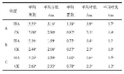 表2 不同复配基质和IBA对美女樱芽、叶片和花蕾的影响