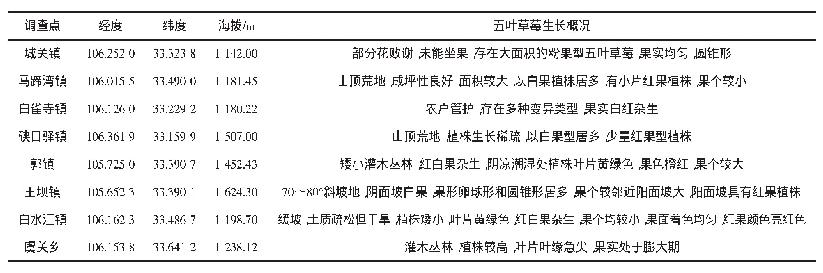 表1 8个乡镇中典型地块五叶草莓分布及生长情况