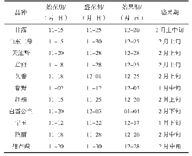 表3 不同草莓品种的物候期