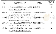 表2 引物序列信息：音乐对缓解肉鸡热应激损伤的作用研究