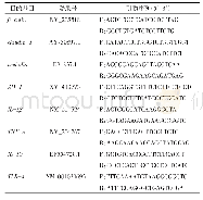 表2 荧光定量PCR引物信息