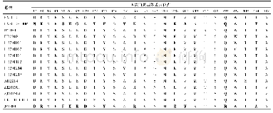 表2 DTMUV的E蛋白氨基酸位点差异分析