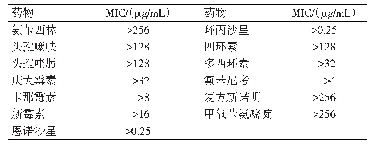 表3 YJ-1株药敏试验结果