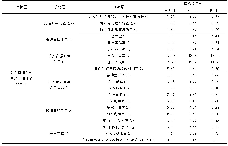 表7 实例矿山的指标项得分