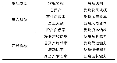 表1 融资效率评价指标：中国采矿业上市公司经营效率的实证分析：基于DEA模型和Malmquist指数模型