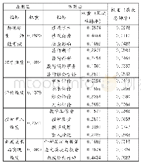 表3 综合专家意见后各层次指标的权重分布