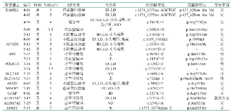 表2 脑瘫儿童的临床资料及基因致病性变异信息