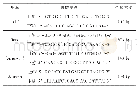 《表1 Bcl-2、Bax、Caspase-3基因引物序列》