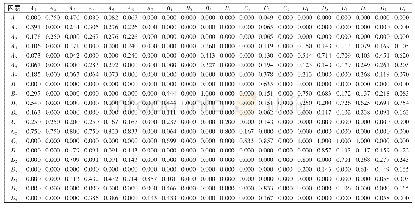 表3 未加权超矩阵：大面积航班延误下的机场安全风险评价