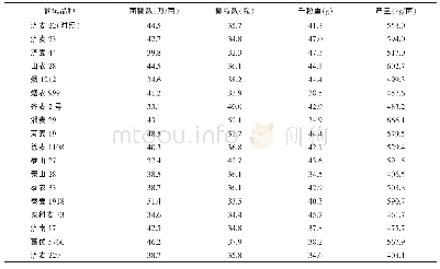 表2 山东济宁种植不同小麦品种的产量及其构成因素